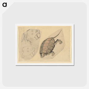 アートポストカード-Two Sketches: One of a Turtle, the Other of Two Unidentified Objects - 葛飾 北斎 Postcard.