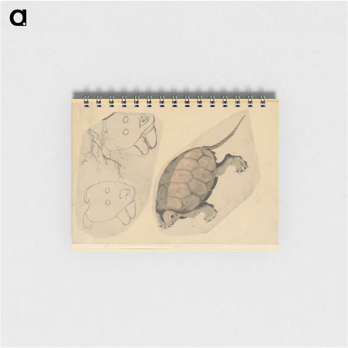 Two Sketches: One of a Turtle, the Other of Two Unidentified Objects - 葛飾 北斎 Memo.