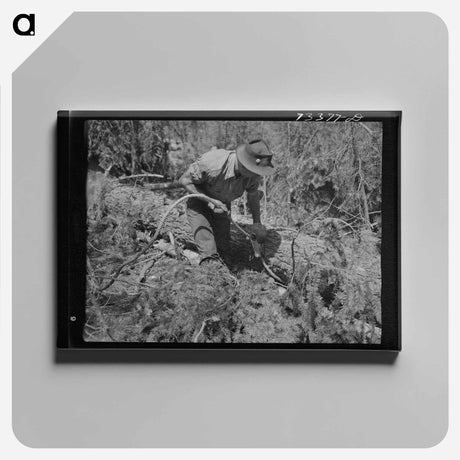 アートパネル-Bathroom in Farmer's Home
 - ラッセル リー Canvas.