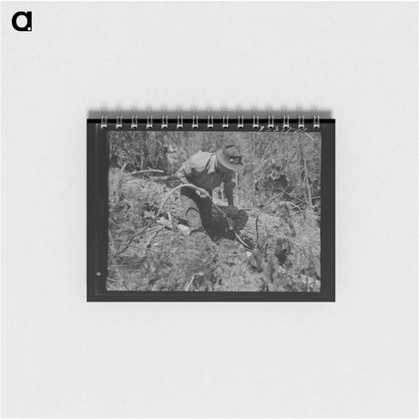 アートメモ帳-Bathroom in Farmer's Home
 - ラッセル リー Memo.