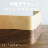 The Guitar Player - ヨハネス フェルメール Postcard.