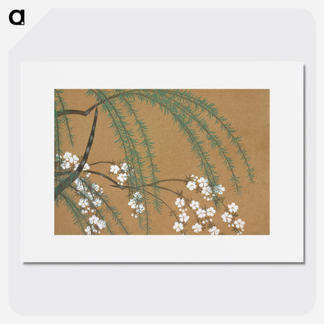 Kamisaka Sekka(神坂 雪華) - Blossoms from Momoyogusa–Flowers of a Hundred Generations - 神坂 雪華 Poster. - artgraph.「アートをもっと気軽に」世界の名画やアート作品をポスターなど身近なアイテムにプリントして販売するサイト「artgraph.」ポスター、アートフレーム、スマホケース、ノート…etcなど多くの製品を用意しております。専属アーティストの作品もあり、ここだけしか買えないアートに出会えます。│