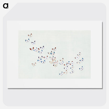 Cho senshu (One Thousand Butterflies) Poster. - artgraph.