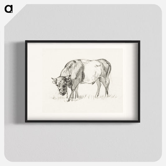 Grazing bull Poster. - artgraph.