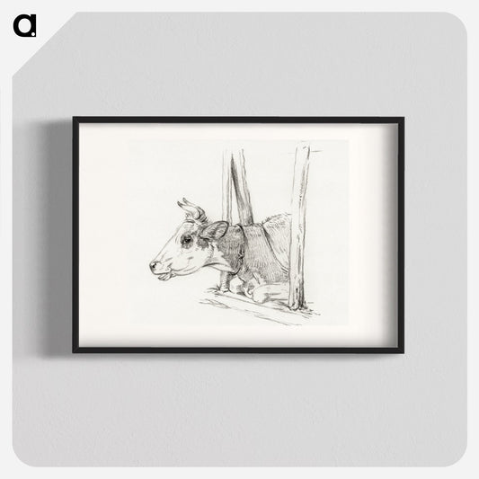 Head of a cow, lying in a stable Poster. - artgraph.